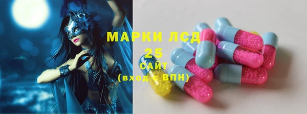 шишки Ладушкин