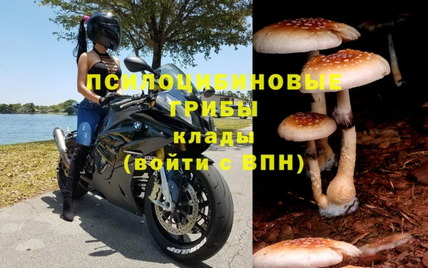 a pvp Кулебаки