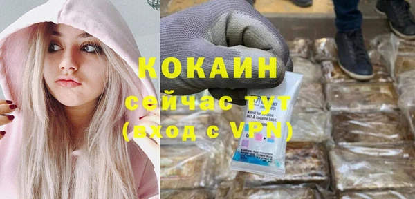 шишки Ладушкин
