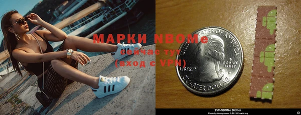 дурь Лабытнанги
