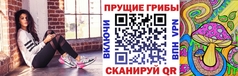 Псилоцибиновые грибы GOLDEN TEACHER  Купить где  Мещовск 